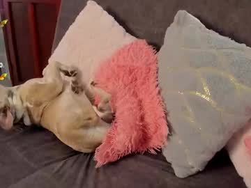 See Haileebeer_ online Now @ nsfw.pw